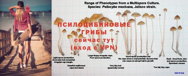 хмурый Володарск